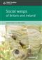 Social wasps of Britain and Ireland (Chart)