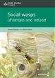 Social wasps of Britain and Ireland (Chart)