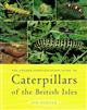 The Colour Identification Guide to Caterpillars of the British Isles (Macrolepidoptera)