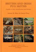 British and Irish Pug Moths: A Guide to their Identification