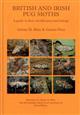 British and Irish Pug Moths: A Guide to their Identification