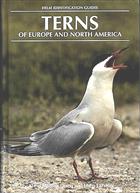 Terns of Europe and North America
