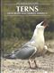 Terns of Europe and North America