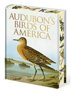 Audubon's Birds of America