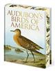 Audubon's Birds of America