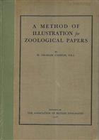 A Method of Illustration for Zoological Papers