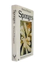 Sponges