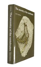 The ancestry of the vertebrates