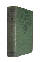 The Life of the Weevil