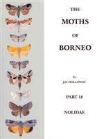 The Moths of Borneo 18: Nolidae