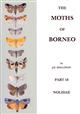 The Moths of Borneo 18: Nolidae