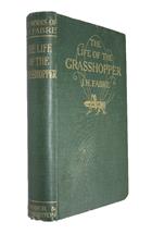 The Life of the Grasshopper