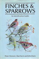 Finches and Sparrows: An Identification Guide