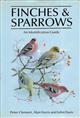 Finches and Sparrows: An Identification Guide