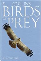 Birds of Prey