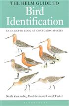 The Helm Guide to Bird Identification: An In-Depth Look at Confusion Species