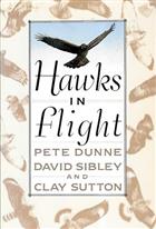 Hawks in Flight: The Flight Identification of North American Migrant Raptors