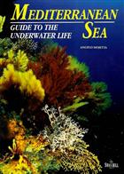 Mediterranean Sea: Guide to the Underwater Life