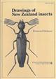Drawings of New Zealand Insects