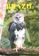 All the Birds of Brazil: An Identification Guide