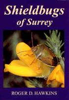 Shieldbugs of Surrey