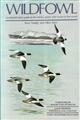 Wildfowl: An Identification Guide to the Ducks, Geese and Swans of the World