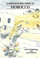 A Birdwatching Guide to Morocco