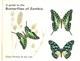 A Guide to the Butterflies of Zambia