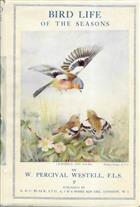 Bird Life of the Seasons