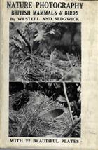 Nature Photography and some British Mammals and Birds