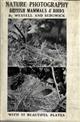 Nature Photography and some British Mammals and Birds