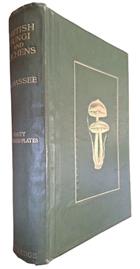 British Fungi with a chapter on Lichens