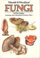 Wayside and Woodland Fungi