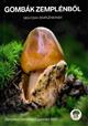 Gombák Zemplénből - nem csak zemplénieknek [Fungi from Zemplen - not only for Zemplenians]