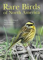Rare Birds of North America