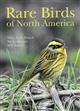 Rare Birds of North America
