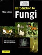 Introduction to Fungi