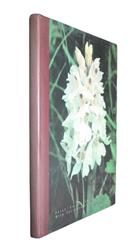 Wild Orchids of Scotland