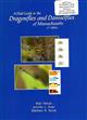 A Field Guide to the Dragonflies and Damselflies of Massachusetts