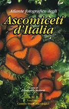 Atlante fotografico degli Ascomiceti d'Italia [with English translation of the keys]