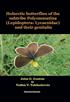 Holarctic butterflies of the subtribe Polyommatina (Lepidoptera: Lycaenidae) and their genitalia