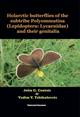 Holarctic butterflies of the subtribe Polyommatina (Lepidoptera: Lycaenidae) and their genitalia
