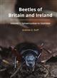 Beetles of Britain and Ireland. Vol. 1: Sphaeriusidae to Silphidae