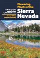 Flowering Plants of the Sierra Nevada: A Photographic Guide to Over 1000 Wildflowers