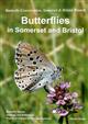 Butterflies in Somerset and Bristol