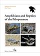 Amphibians and Reptiles of the Peloponnese