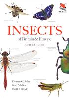 Insects of Britain and Europe: A Field Guide