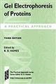 Gel Electrophoresis of Proteins: A Practical Approach