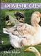 Domestic Geese