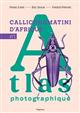Atlas des Callichromatini d’Afrique Vol. 1